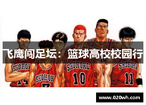 飞鹰闯足坛：篮球高校校园行